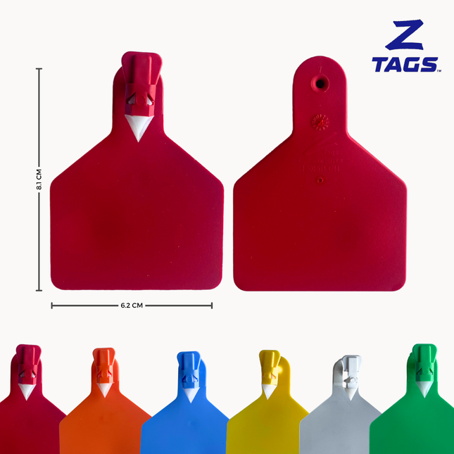 Bolsa de 25 aretes Z medianos