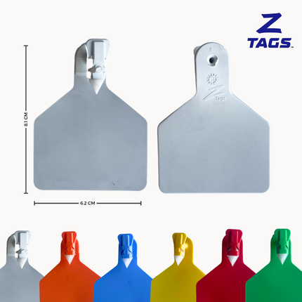 Bolsa de 25 aretes Z medianos