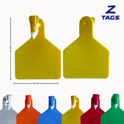 Bolsa de 25 aretes Z medianos