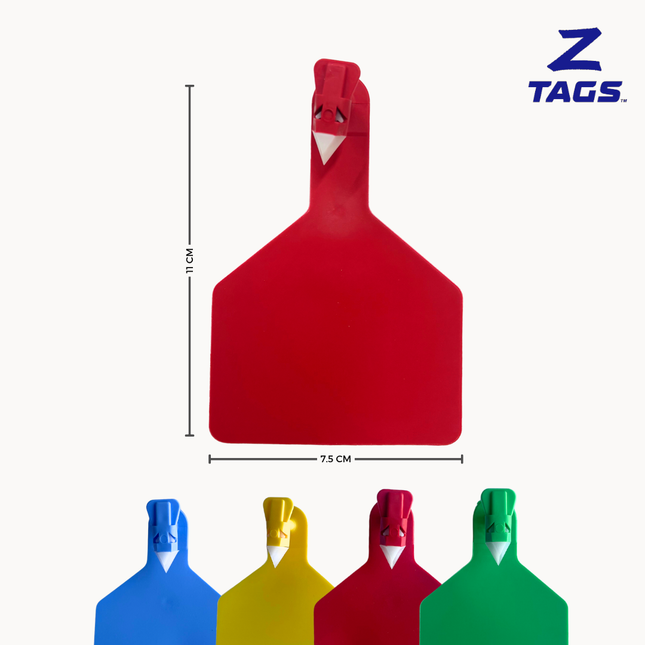 Bolsa de 25 aretes Z grandes
