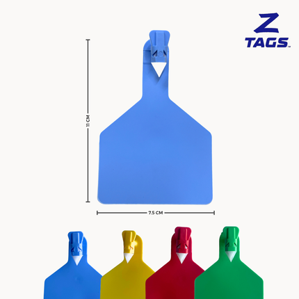 Bolsa de 25 aretes Z grandes