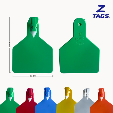 Bolsa de 25 aretes Z medianos