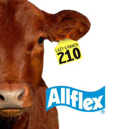 Bolsa de 25 aretes Allflex grandes