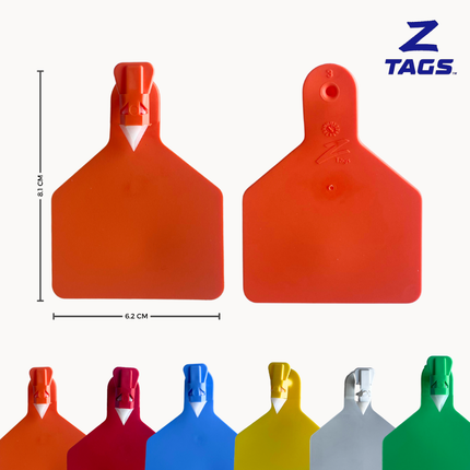 Bolsa de 25 aretes Z medianos
