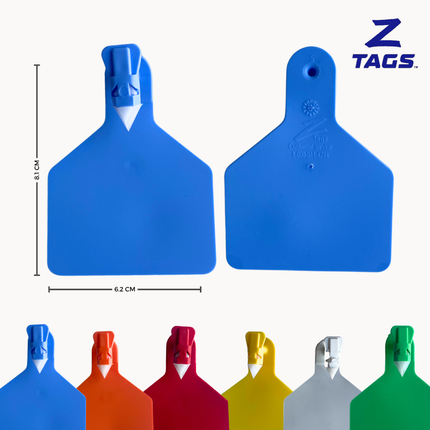 Bolsa de 25 aretes Z medianos