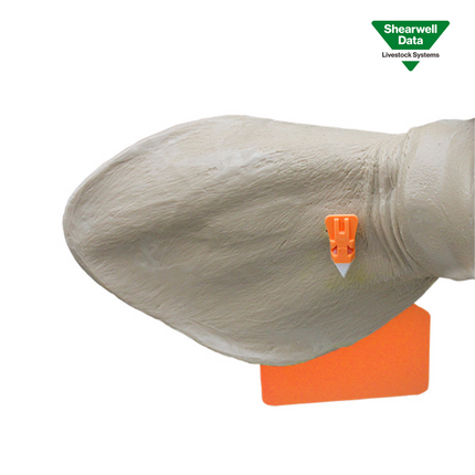 Aretador Shearwell para arete S 1 pieza